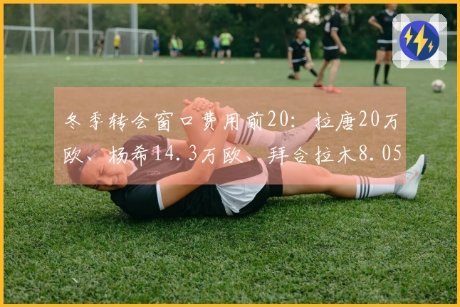 冬季转会窗口费用前20：拉唐20万欧、杨希14.3万欧、拜合拉木8.05万