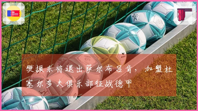 樊振东将退出萨尔布吕肯,加盟杜塞尔多夫俱乐部征战德甲